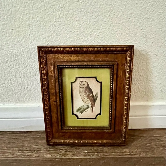 Vintage Gold Framed Owl Art for Bird Lovers - Picture 10 of 10